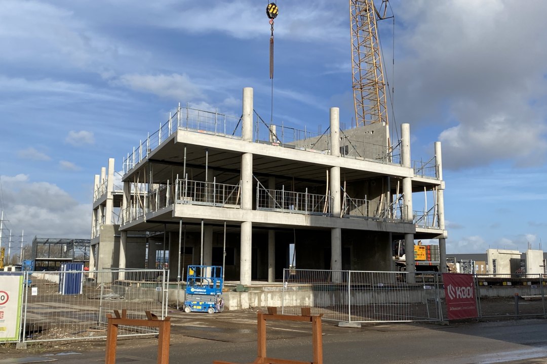 Paardekoper fase 3