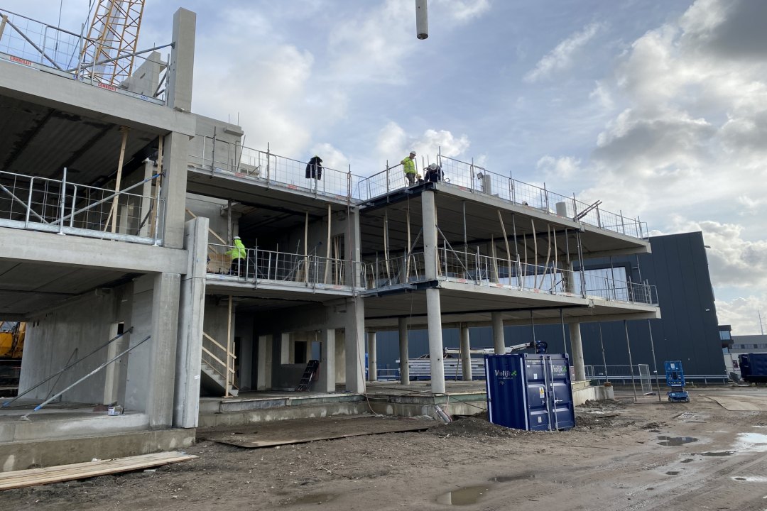 Paardekoper fase 3