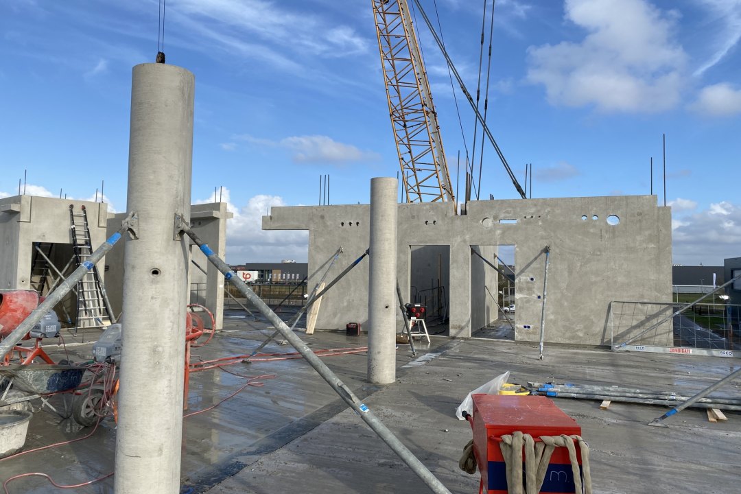 Paardekoper fase 3