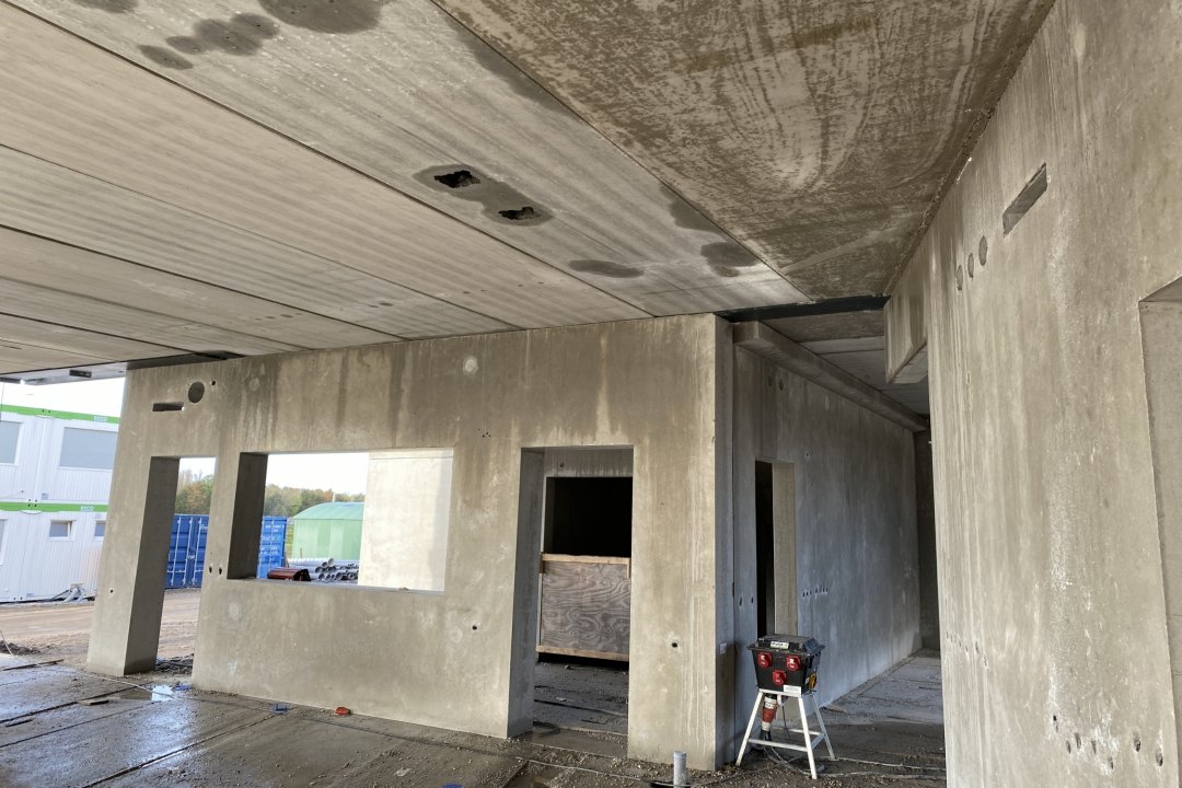Paardekoper fase 3