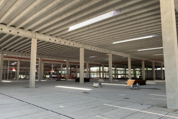 Lely Maassluis
